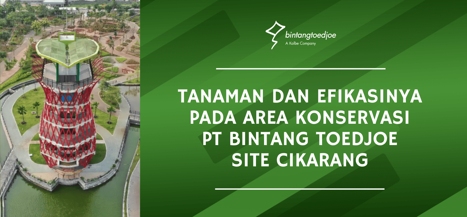 Plants and Their Efficacy in the Conservation Area of PT Bintang Toedjoe Site Cikarang