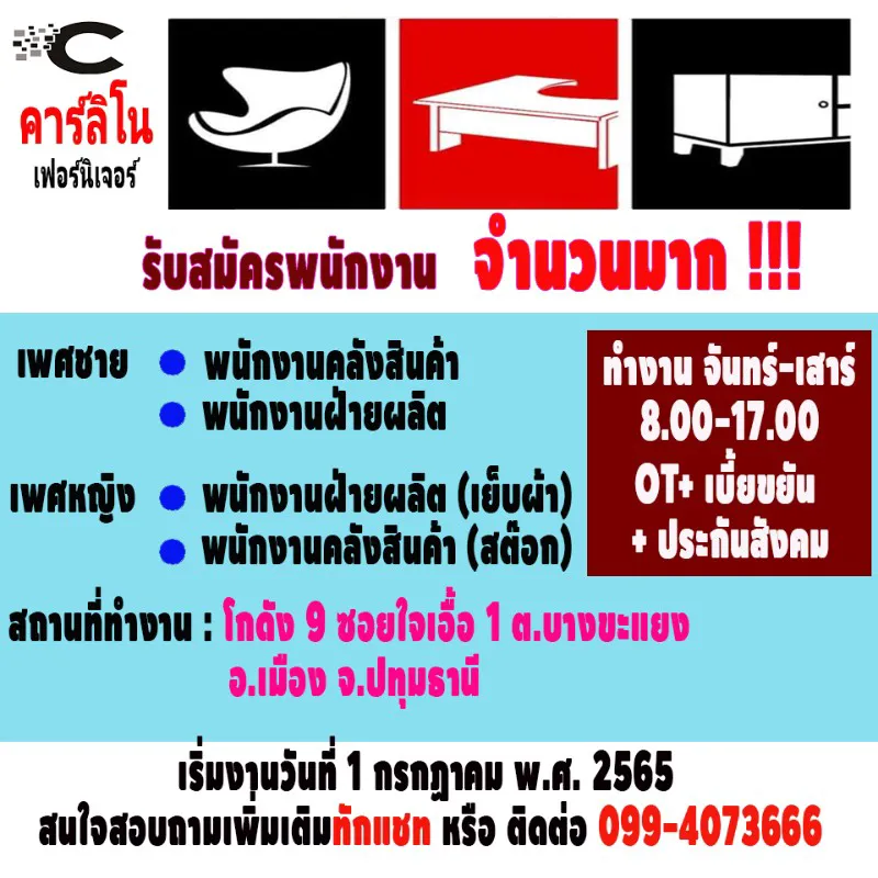 daywork-รูปภาพบริษัท-บริษัทคาร์ลิโน เฟอร์นิเจอร์