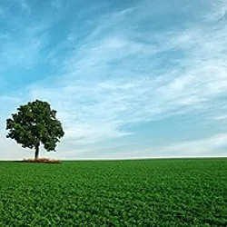 daywork-รูปภาพบริษัท-OCC