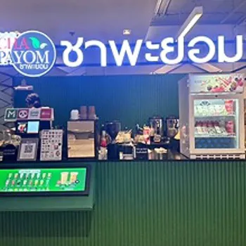 daywork-รูปบริษัท-ชาพะยอมคอสโมบาซาร์