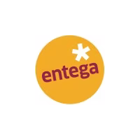 e-netz Südhessen AG logo