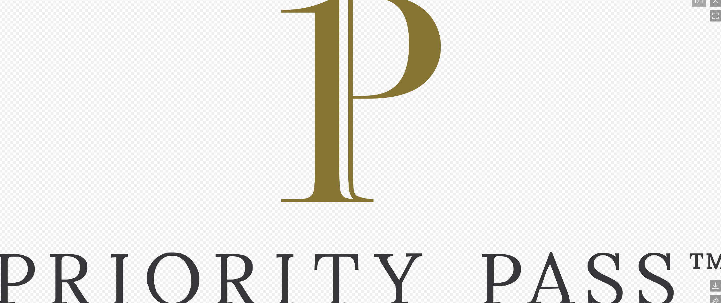 company logo