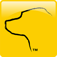 company logo