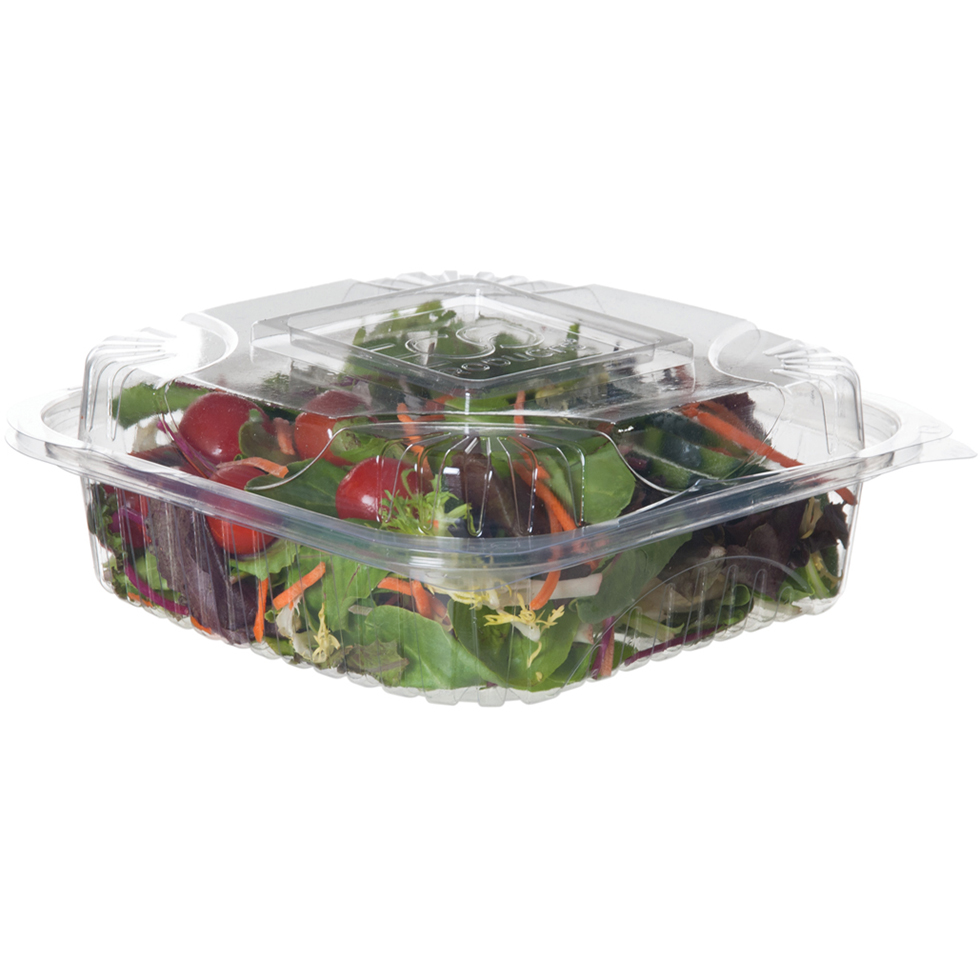 Renewable & Compostable Clear Clamshells - 8in x 8in x 3in