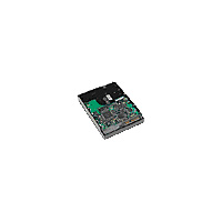 DISCO DURO HP 250 GB SERIAL ATA 7200 RPM