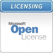 OPEN BUSINESS SQL SERVER STANDARD EDITION 2008