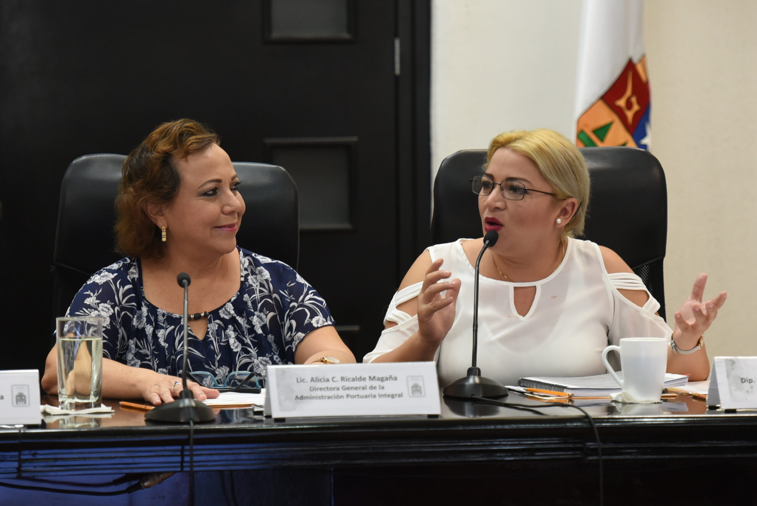 Los integrantes de la XVI Legislatura del Estado, también expresaron su disposición de coadyuvar con la APIQROO, para promover los mecanismos necesarios que permitan al Estado recuperar alrededor de 36 millones de pesos por concepto de cobro de derecho de puerto en CALICA