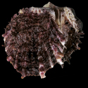 To Conchology (Spondylus ocellatus CLUSTER)