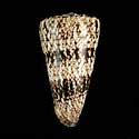 To Conchology (Conus nicobaricus LARGE)