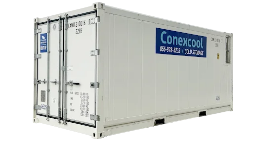 A glimpse of our 20ft single-phase refrigerated container
