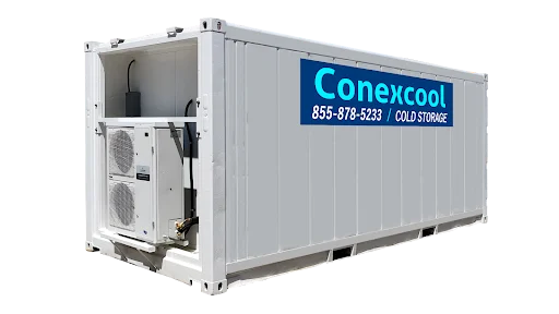20ft Standard Refrigerated Container