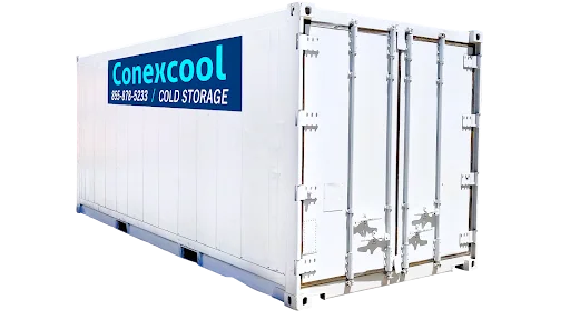 20ft New Standard Refrigerated Container