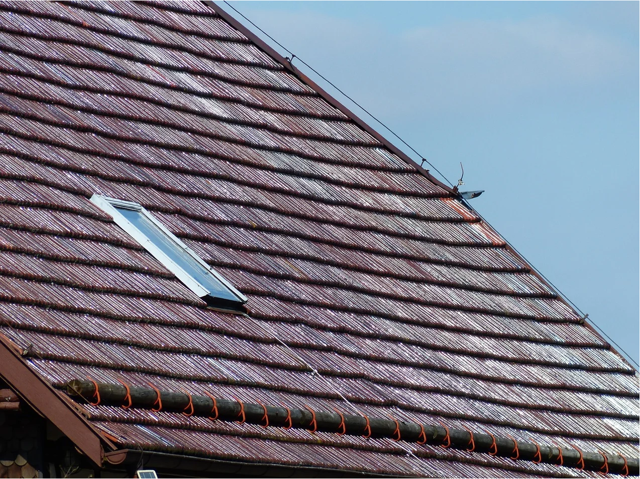 Fixed Skylights