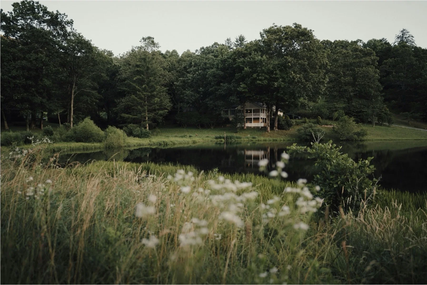 georgia