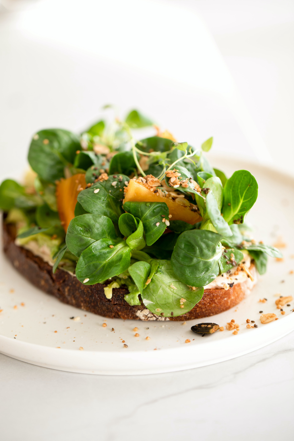Veggie Venture