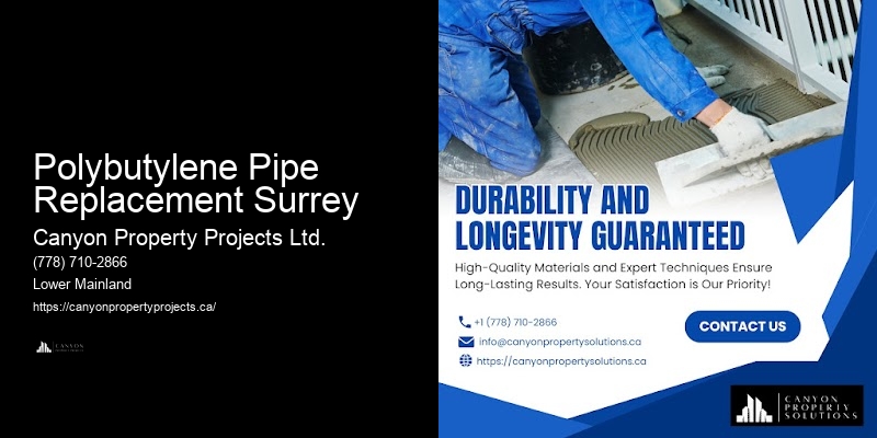 Polybutylene Pipe Replacement Consultation Services Polybutylene Pipe Replacement Surrey