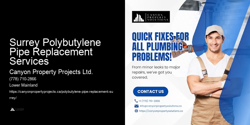 Surrey Polybutylene Pipe Replacement Services