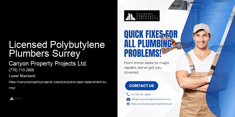 Licensed Polybutylene Plumbers Surrey