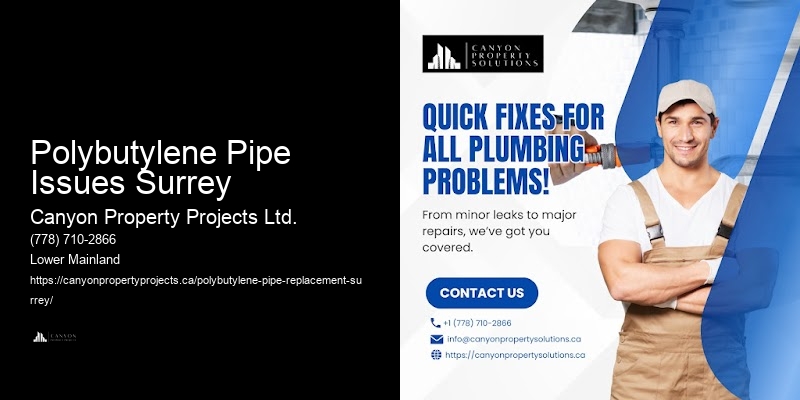 Polybutylene Pipe Issues Surrey