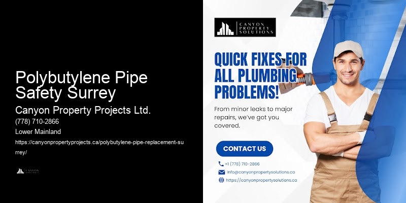 Polybutylene Pipe Safety Surrey