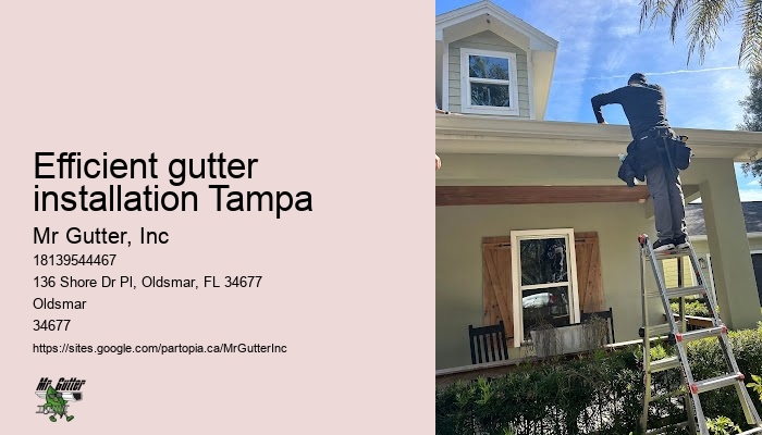 Gutter replacement Efficient gutter installation Tampa