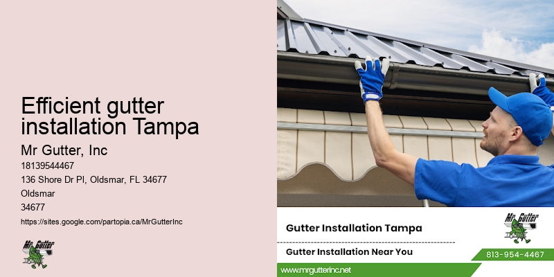 Custom gutter installation Efficient gutter installation Tampa