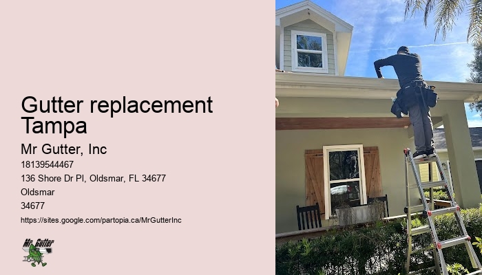 Gutter replacement Tampa gutter installation cost