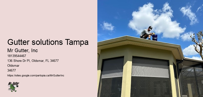 Gutter maintenance contractors Gutter solutions Tampa