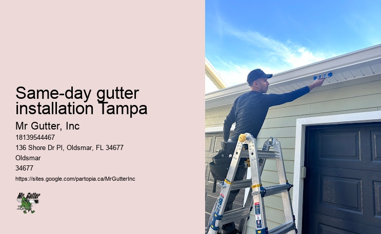 Gutter installation customer service Same-day gutter installation Tampa