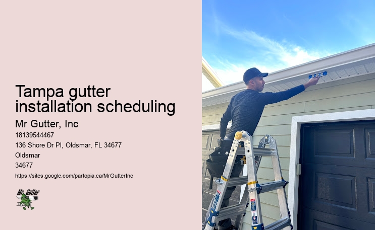 Seamless Rain Gutter Installation Tampa gutter installation scheduling