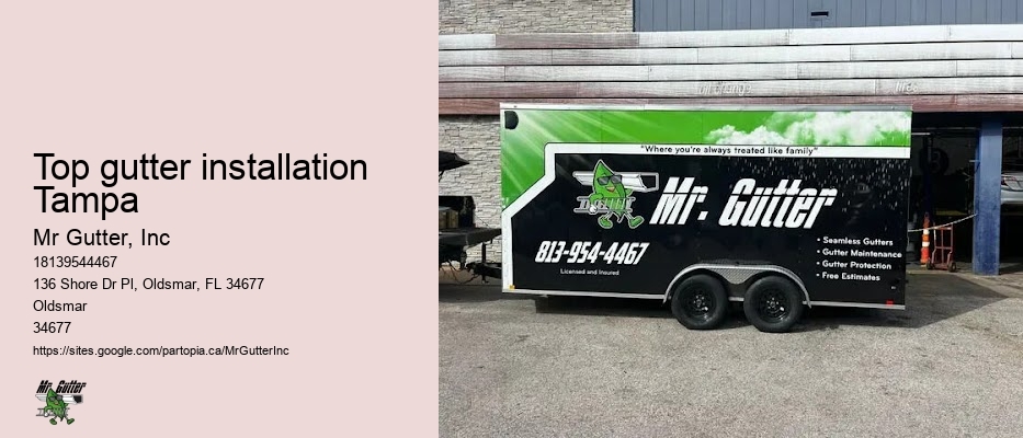 Top gutter installation Tampa