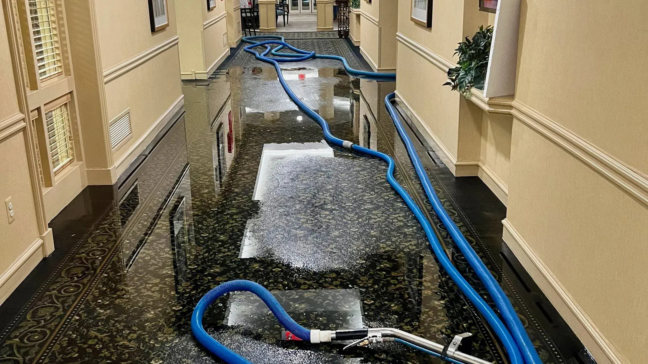 Expert Water Damage Restoration Services in Crofton