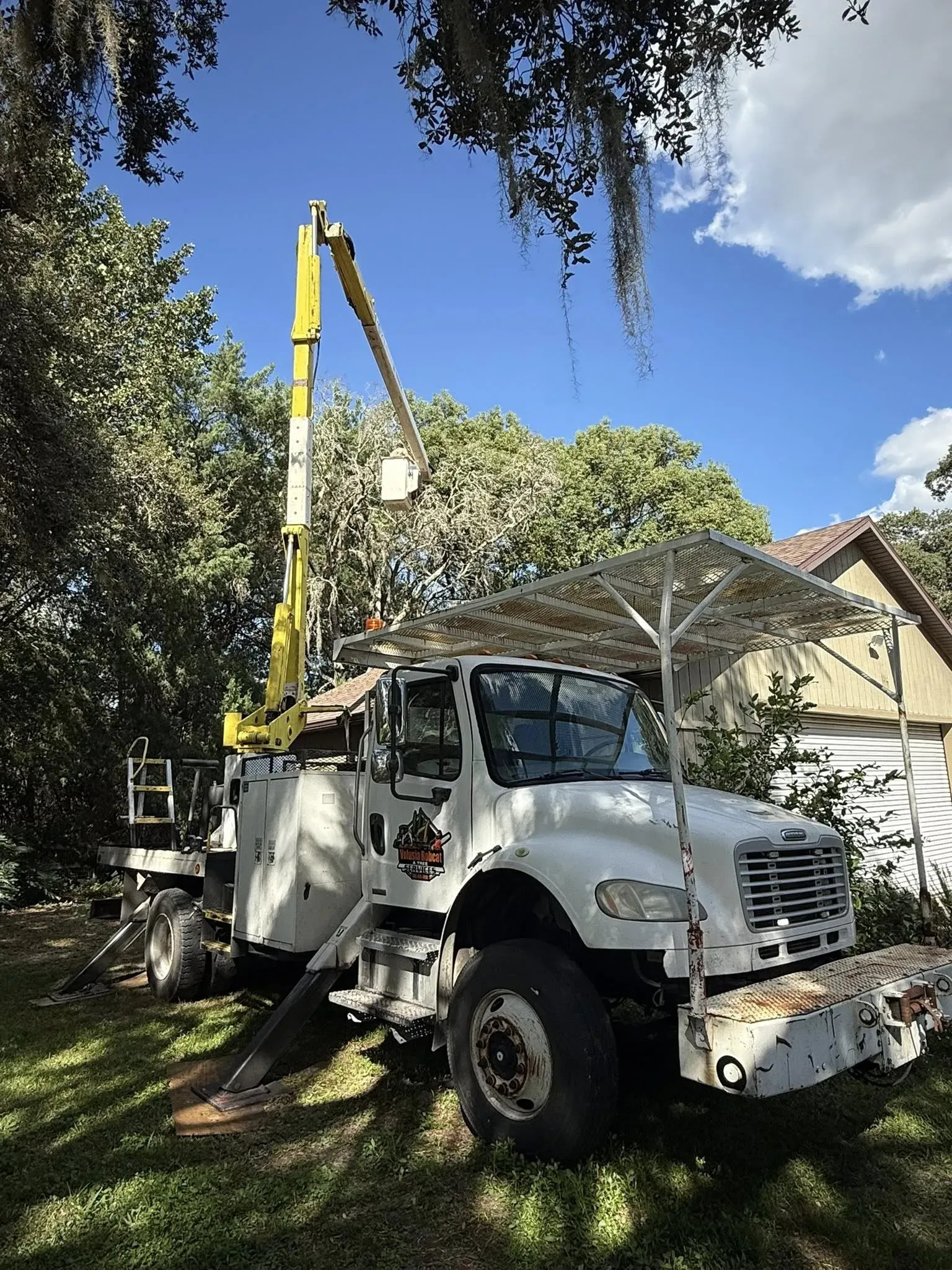 Professional Tree Trimming and Removal Solutions in Volusia