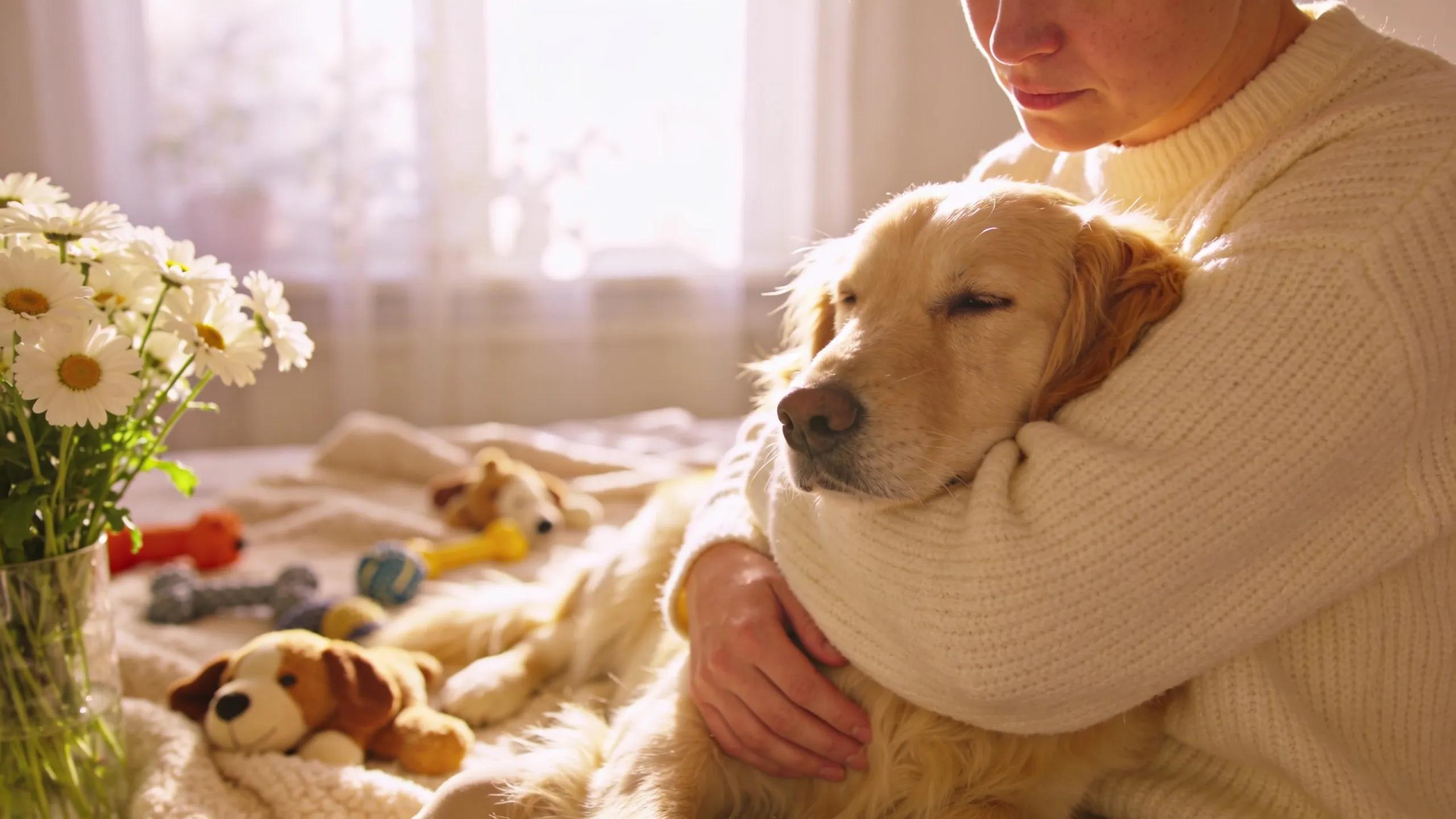 Pet owner comforting their beloved dog in a serene setting, depicting emotional bond and compassion