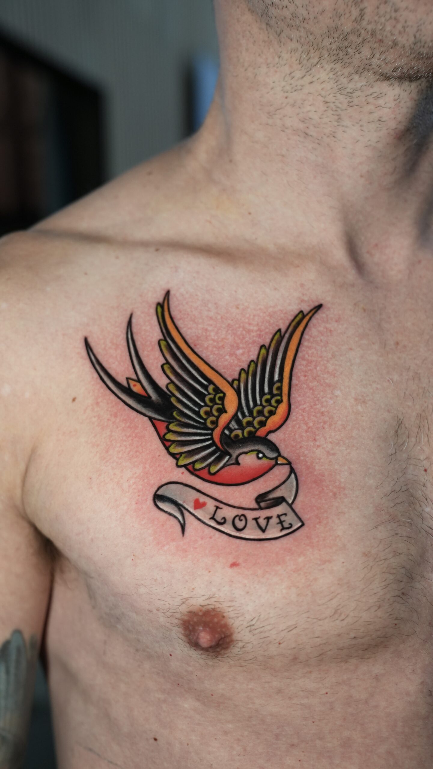 An American Traditional style swallow tattoo on a man's chest, featuring bold outlines, red and yellow shading, and a banner that reads 'LOVE'