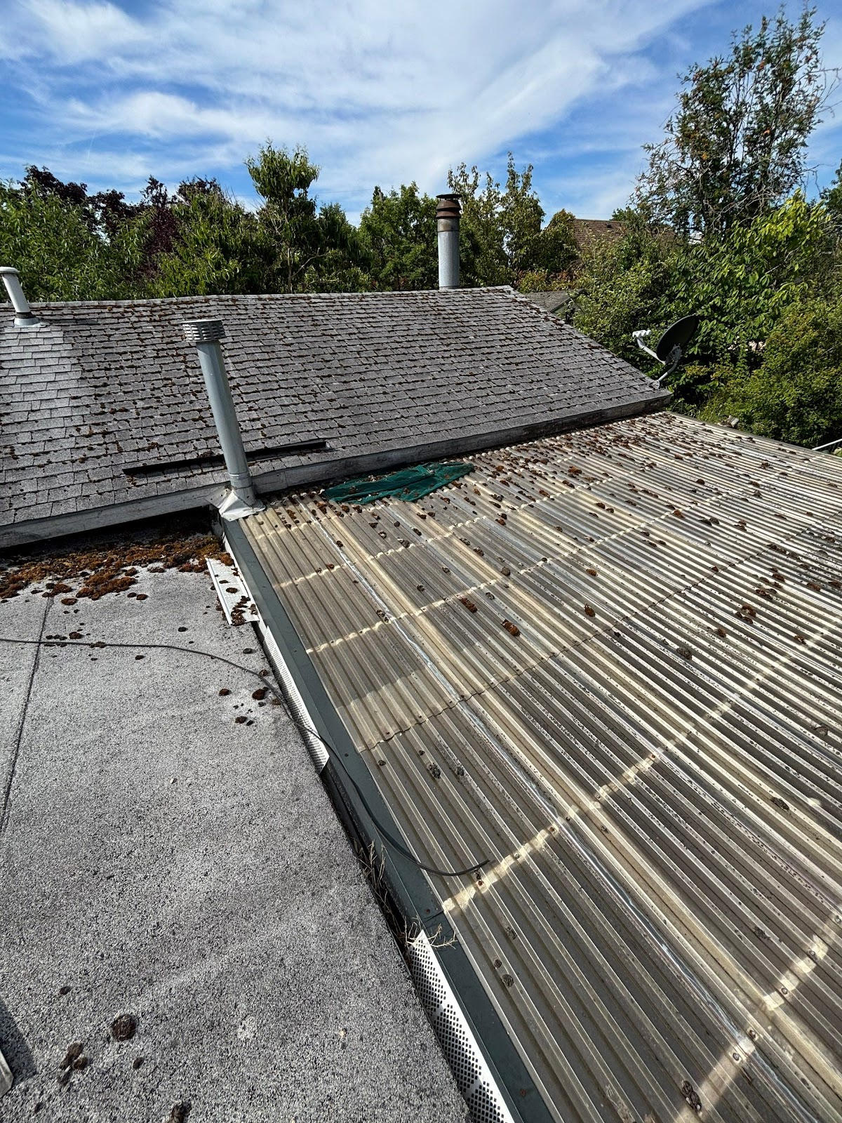 Reinforced Hardware and Leaf-Blocking Gutter Guards