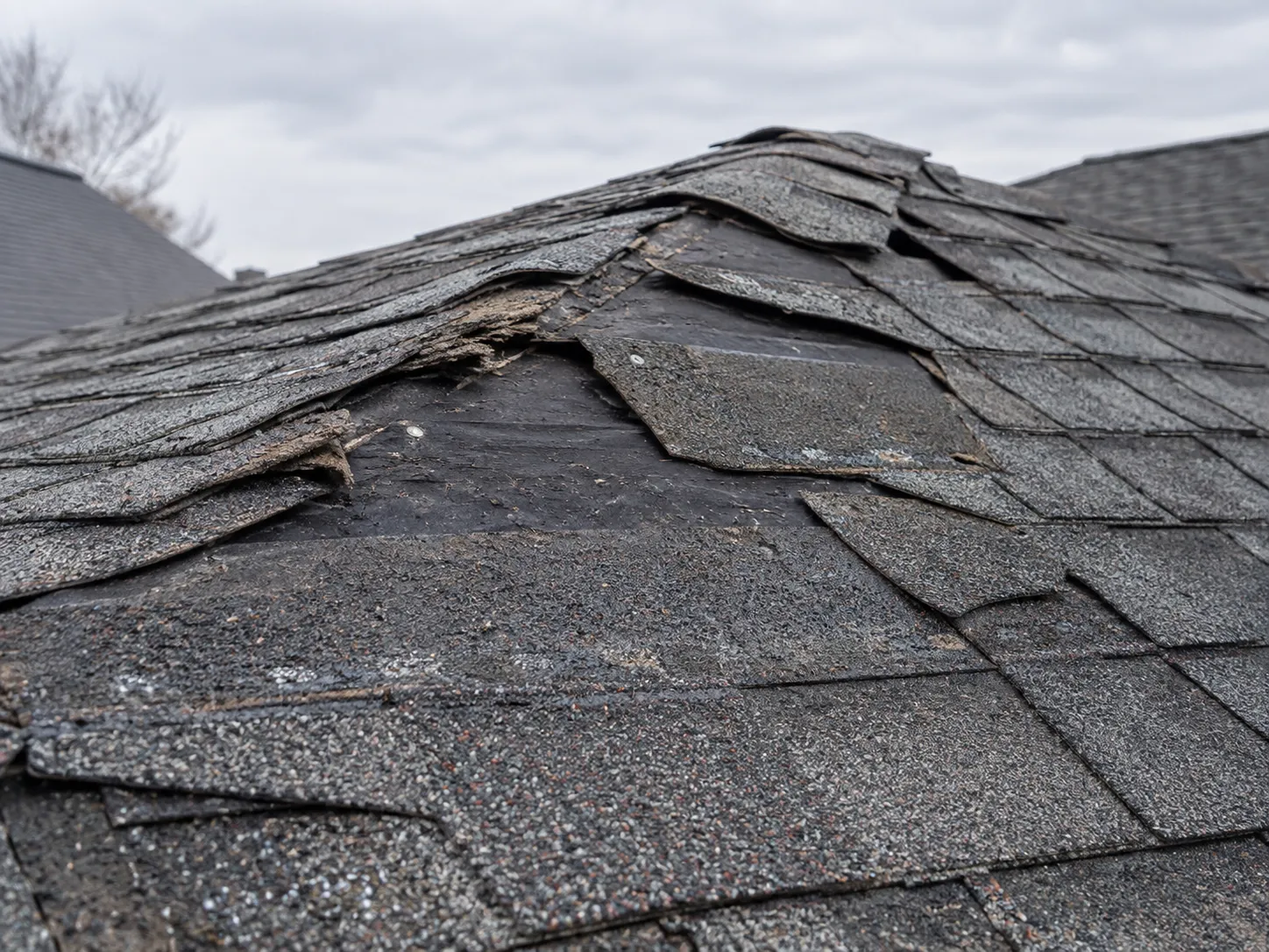 Close-up of wind-lifted and missing shingles after a storm