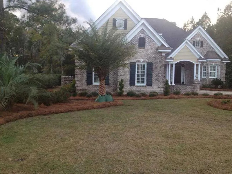 Premier Lawn Weed Control Solutions in Savannah and Surrounding Regions