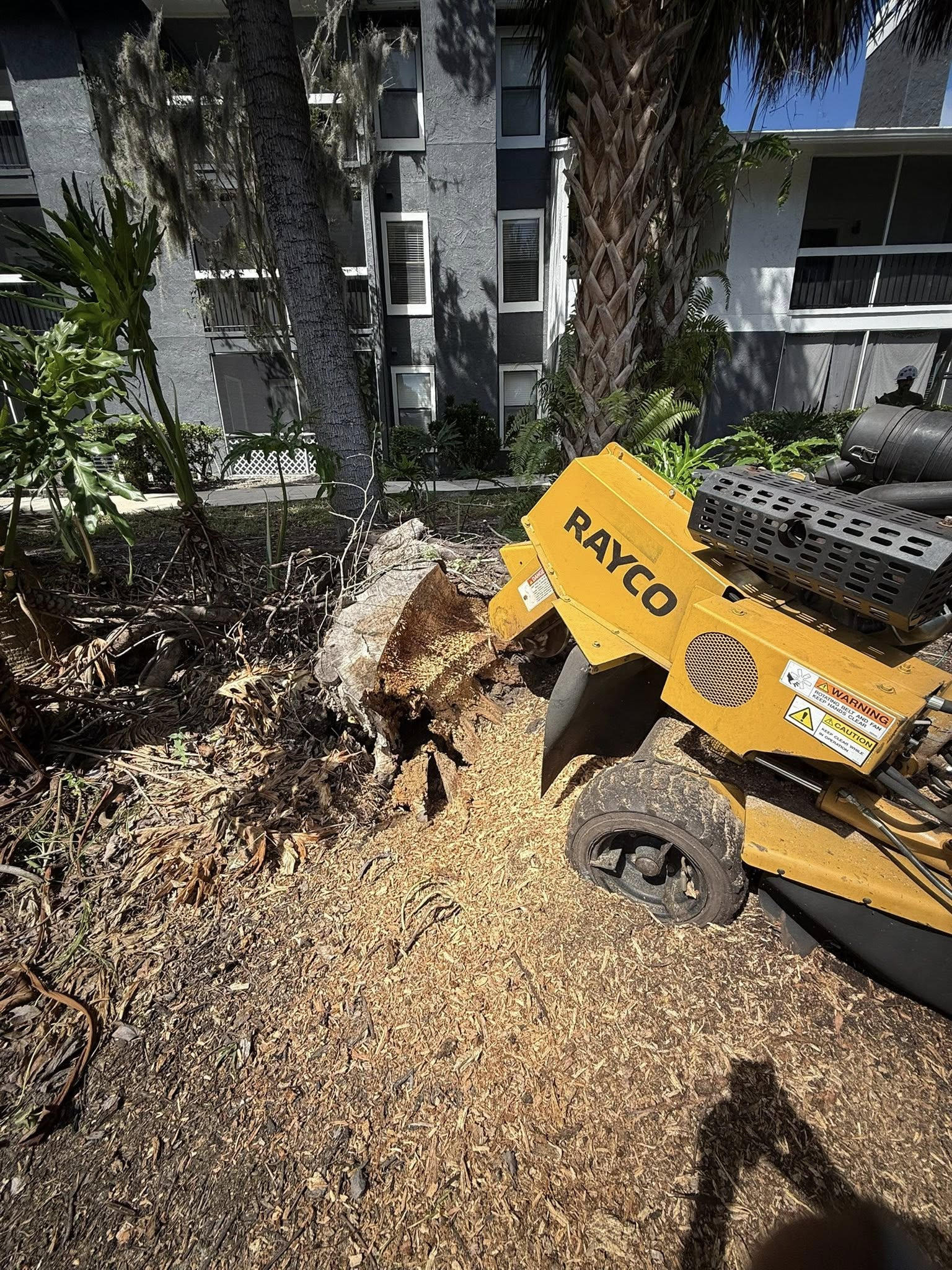 Trusted Tree Care Experts Serving Ocala and Marion County