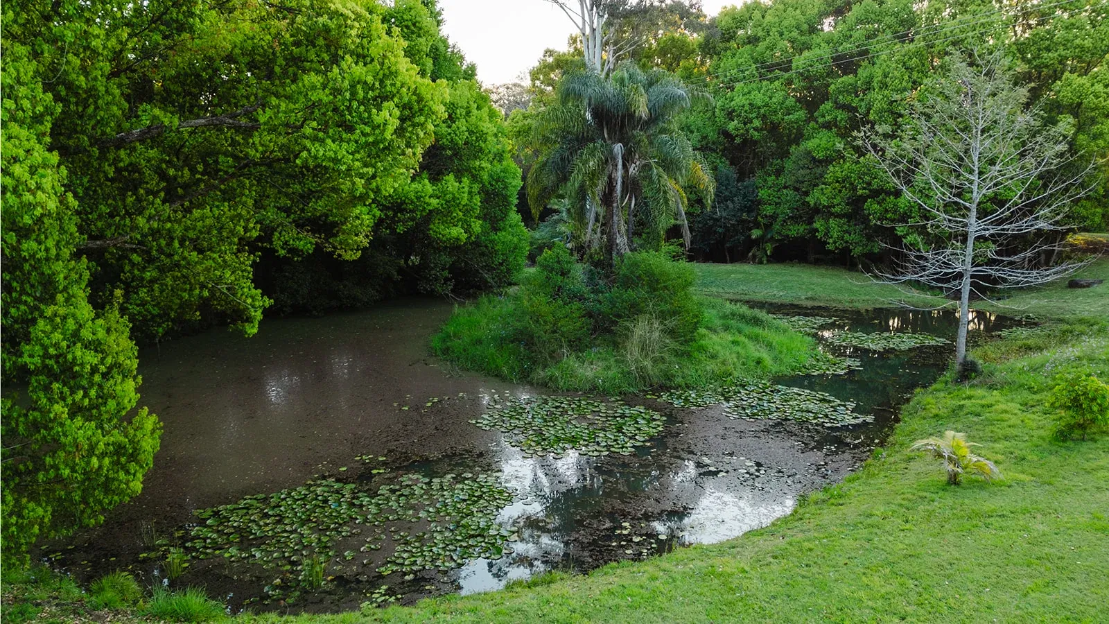 Farm Life and Nature at Cosy Creek