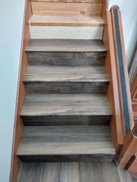 Soft, Stylish Carpet for Every Room