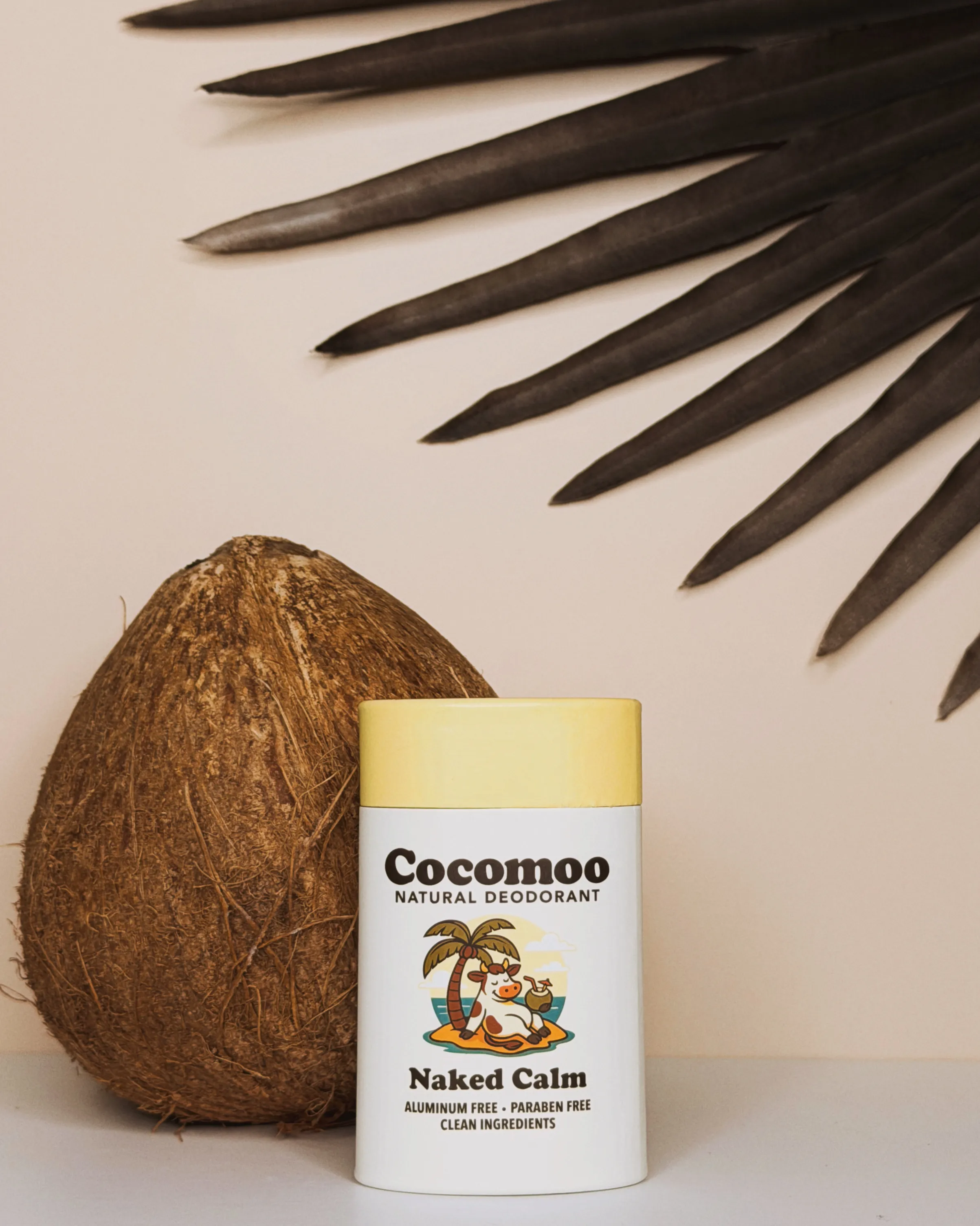 Natural deodorant tube next to a coconut and tropical leaves