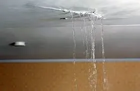 Public adjuster inspecting water-damaged property, illustrating the assessment process for insurance claims