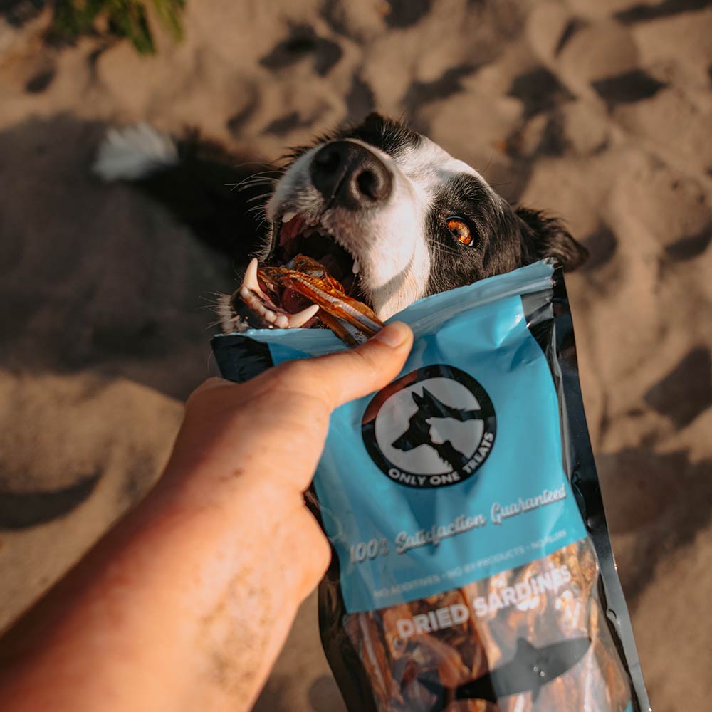 Tripe Dog Treats - Green Goat Tripe - Only One Treats