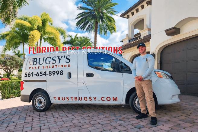 Homeowner researching pest control services with brochures and laptop