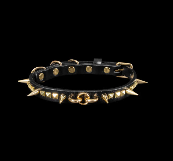 Why Choose a Spiked Dog Collar?