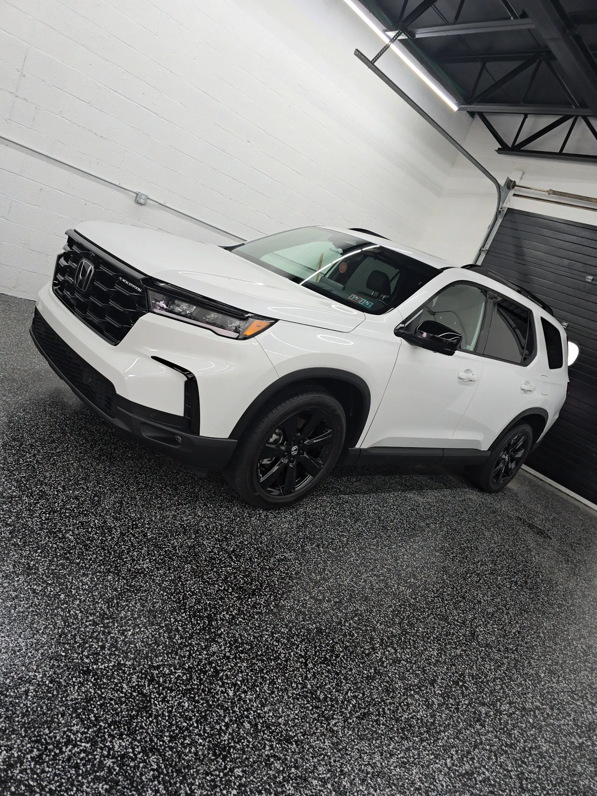 Professional Auto Detailing Services in Wexford, PA