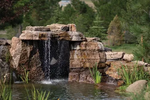 Transform Your Backyard Oasis in Tampa Bay