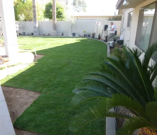 Outstanding Landscape Architecture and Turf Installations in Glendale