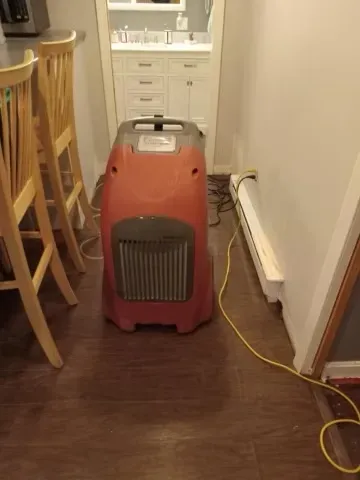 Professional Water Damage Restoration Services